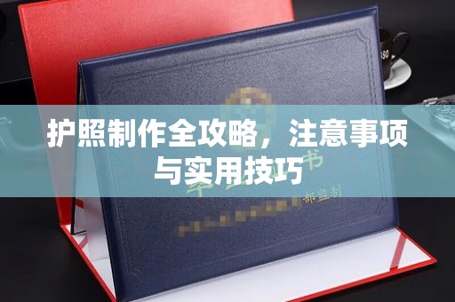 平原护照制作全攻略，注意事项与实用技巧