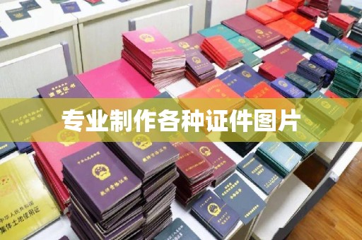 平原专业制作各种证件图片