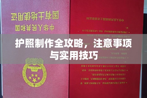 平原护照制作全攻略，注意事项与实用技巧
