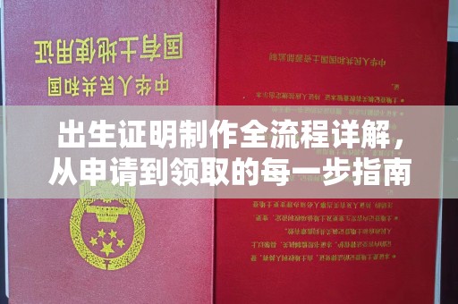 平原出生证明制作全流程详解，从申请到领取的每一步指南
