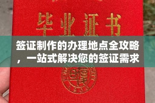平原签证制作的办理地点全攻略，一站式解决您的签证需求