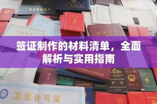 平原签证制作的材料清单，全面解析与实用指南
