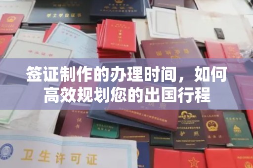 平原签证制作的办理时间，如何高效规划您的出国行程