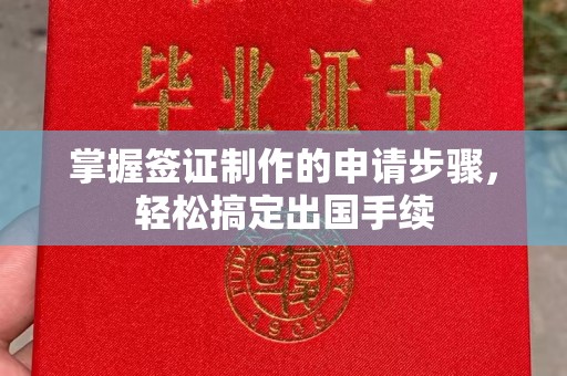平原掌握签证制作的申请步骤，轻松搞定出国手续