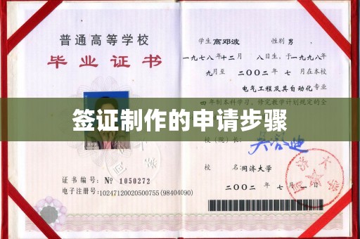 平原签证制作的申请步骤