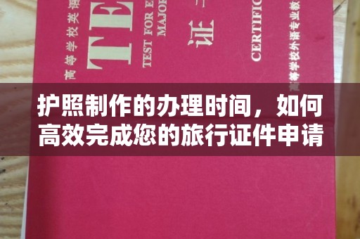 平原护照制作的办理时间，如何高效完成您的旅行证件申请