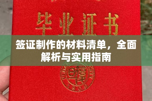 平原签证制作的材料清单，全面解析与实用指南