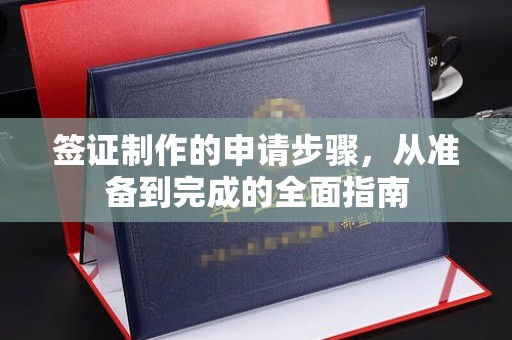 平原签证制作的申请步骤，从准备到完成的全面指南