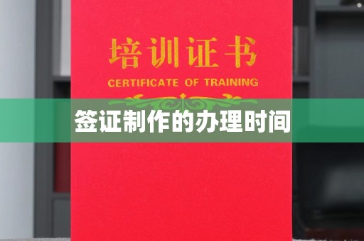 平原签证制作的办理时间