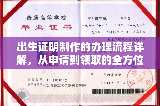 平原出生证明制作的办理流程详解，从申请到领取的全方位指南