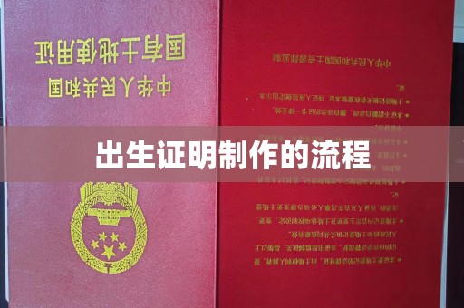 平原出生证明制作的流程